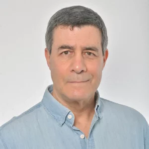 david